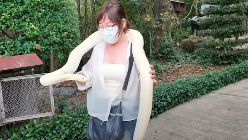 Mơ Thấy Rắn Trắng: Giải Mã Chi Tiết Giấc Mơ & Điềm Báo 5 Nam mo ran trang quan quanh nguoi