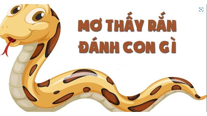 Nằm Mơ Thấy Rắn Đánh Số Gì? Giải Mã Chi Tiết Giấc Mơ Thấy Rắn 6 Nam mo thay ran danh so gi may man