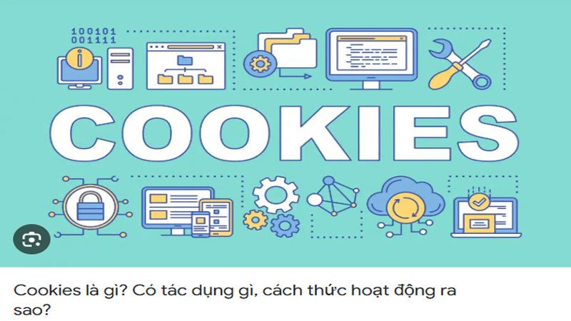 Cookie và các công cụ theo dõi tương tự