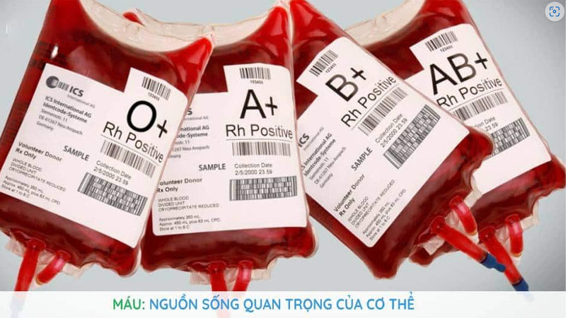 Nằm Mơ Thấy Rắn Cắn Vào Chân Chảy Máu Là Điềm Gì? Giải Mã Chi Tiết 5 Mau nguon song cho co the