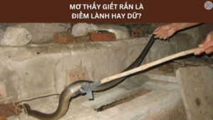 Mơ thấy giết rắn