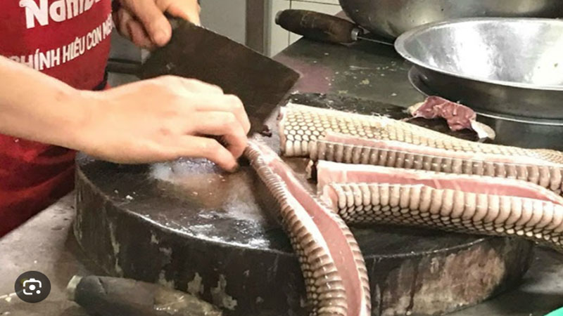 Mơ Thấy Rắn Chết Là Điềm Gì? Giải Mã Chi Tiết Nhất 4 Mơ thấy người khác giết chết rắn