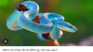 Mơ thấy rắn màu xanh ngọc