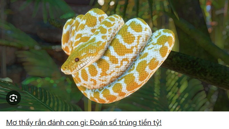 Mơ thấy rắn vàng trắng