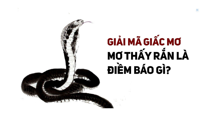 Nam mo thay ran den can vao tay va con so lien quan